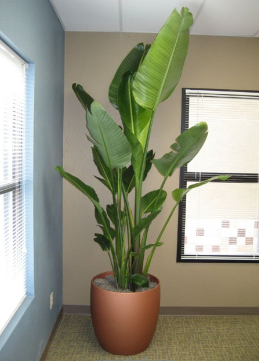 4522aeb9aa83af4d810e2694f25ab774.png 4522aeb9aa83af4d810e2694f25ab774.png